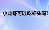 小龙虾可以吃虾头吗?（小龙虾虾头能吃吗）