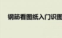 钢筋看图纸入门识图（钢筋看图纸入门）
