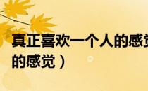 真正喜欢一个人的感觉说说（真正喜欢一个人的感觉）
