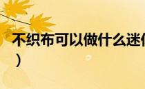 不织布可以做什么迷你文具（不织布迷你饰物）