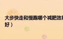大步快走和慢跑哪个减肥效果好（快走和慢跑哪个减肥效果好）