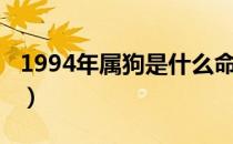 1994年属狗是什么命（1998年属虎是什么命）