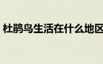 杜鹃鸟生活在什么地区（杜鹃鸟的生活习性）