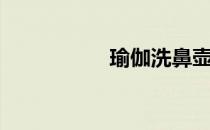 瑜伽洗鼻壶（洗鼻壶）
