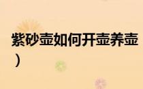 紫砂壶如何开壶养壶（紫砂壶如何开壶怎么养）