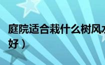 庭院适合栽什么树风水好（庭院种哪些风水树好）