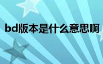 bd版本是什么意思啊（bd版本是什么意思）
