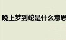 晚上梦到蛇是什么意思（梦到蛇是什么意思）