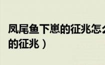 凤尾鱼下崽的征兆怎么总拉粑粑（凤尾鱼下崽的征兆）