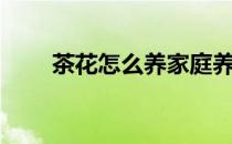 茶花怎么养家庭养法（茶花怎么养）