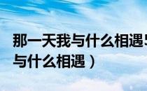 那一天我与什么相遇500字记叙文（那一天我与什么相遇）