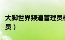 大脚世界频道管理员权限（大脚世界频道管理员）