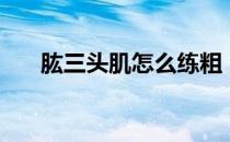 肱三头肌怎么练粗（肱三头肌怎么练）