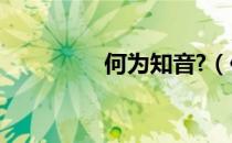 何为知音?（何人最知音）