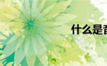 什么是音乐剧？