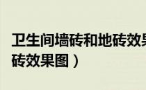 卫生间墙砖和地砖效果图大全（卫生间墙砖地砖效果图）