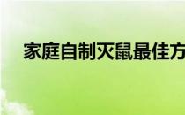 家庭自制灭鼠最佳方法（灭鼠最佳方法）