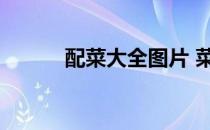 配菜大全图片 菜品（配菜大全）