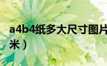 a4b4纸多大尺寸图片（a4a4纸尺寸是多少厘米）
