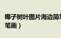 椰子树叶图片海边简笔画（海边椰子树图片简笔画）