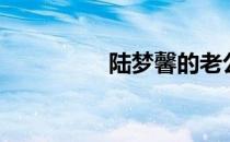 陆梦馨的老公（陆梦馨）