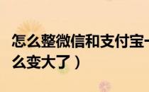 怎么整微信和支付宝一个码（微信扫支付码怎么变大了）