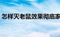怎样灭老鼠效果彻底家庭实用（怎么灭老鼠）