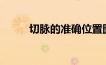 切脉的准确位置图（切脉方法图）