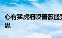 心有猛虎细嗅蔷薇盛宴之后泪流满面是什么意思