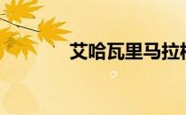 艾哈瓦里马拉松（艾哈瓦里）