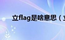立flag是啥意思（立flag是什么意思）