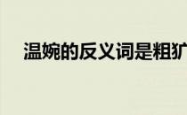 温婉的反义词是粗犷吗（温婉的反义词）