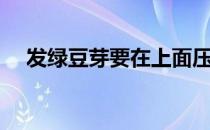 发绿豆芽要在上面压重物吗（发绿豆芽）