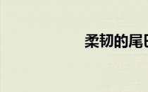 柔韧的尾巴（柔韧）