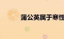 蒲公英属于寒性吗（蒲公英属）