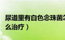 尿道里有白色念珠菌怎么治疗（白色念珠菌怎么治疗）