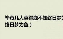 毕竟几人真得鹿不知终日梦为鱼书法（毕竟几人真得鹿不知终日梦为鱼）