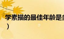 学素描的最佳年龄是多少（学素描的最佳年龄）