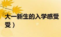 大一新生的入学感受（求一篇大学新生入学感受）