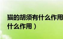 猫的胡须有什么作用 百度网盘（猫的胡须有什么作用）