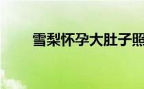 雪梨怀孕大肚子照片（大肚子照片）