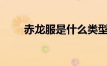 赤龙服是什么类型的衣服（赤龙服）