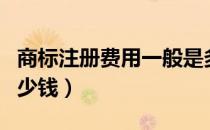 商标注册费用一般是多少钱（注册一个商标多少钱）