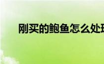 刚买的鲍鱼怎么处理（鲍鱼怎么处理）