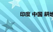 印度 中国 耕地（印度 中国）