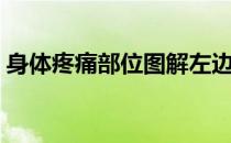 身体疼痛部位图解左边（身体疼痛部位图解）