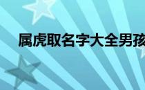 属虎取名字大全男孩（取名字大全男孩）