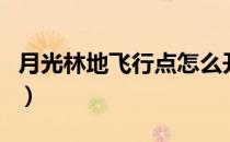 月光林地飞行点怎么开（月光林地联盟飞行点）