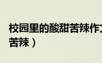 校园里的酸甜苦辣作文500字（校园里的酸甜苦辣）