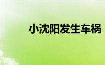 小沈阳发生车祸（小沈阳出车祸）